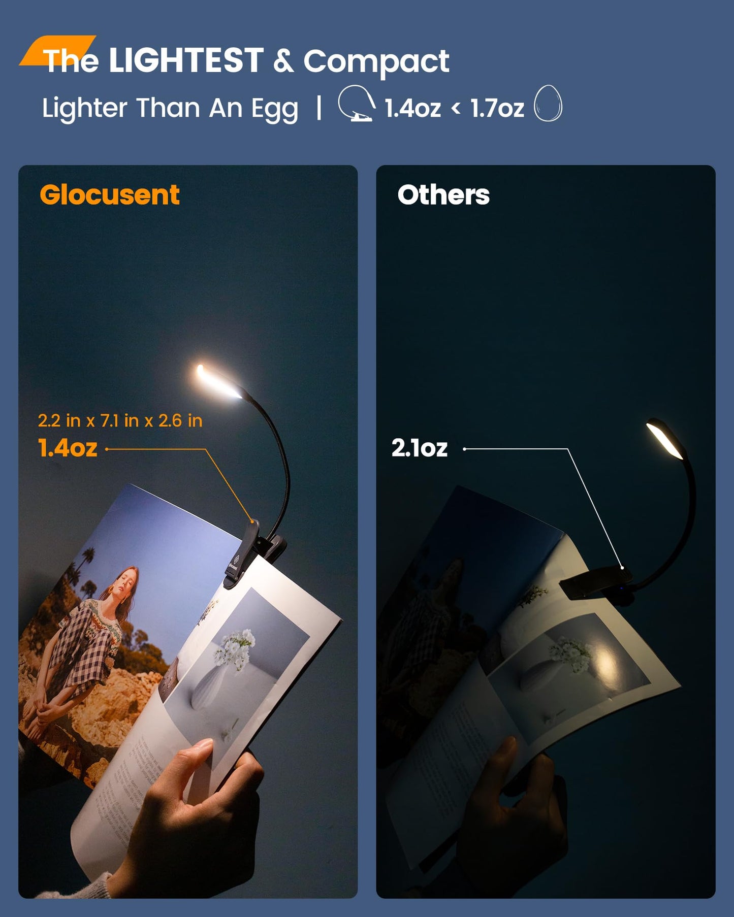 Clip On Booklight