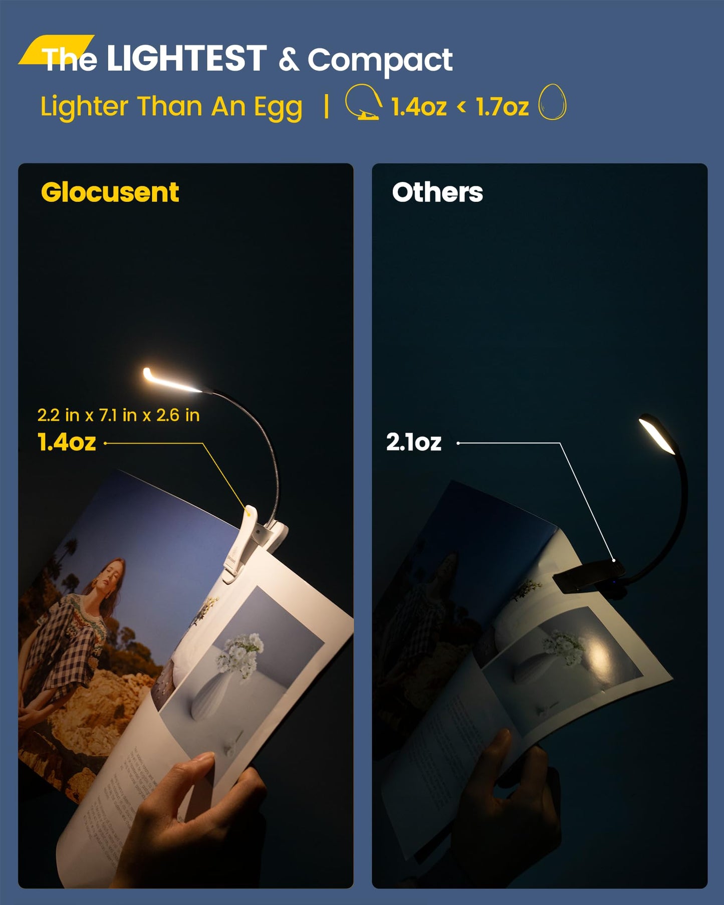 Clip On Booklight