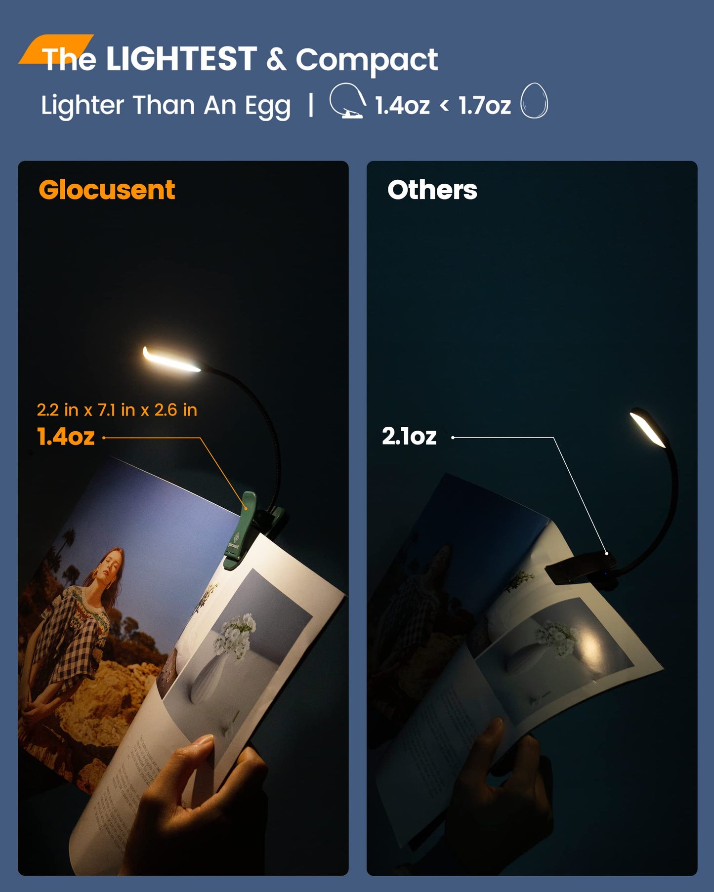 Clip On Booklight